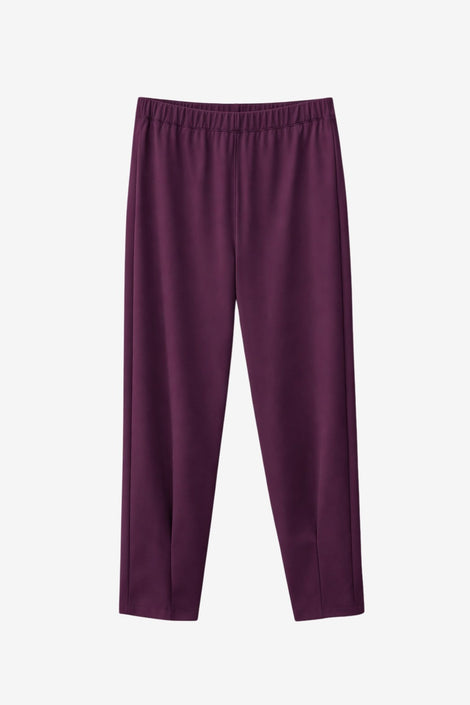 Umbretto pants technical jersey | Cherry