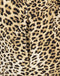 Dress Lana Eco Viscose | Animal tiger
